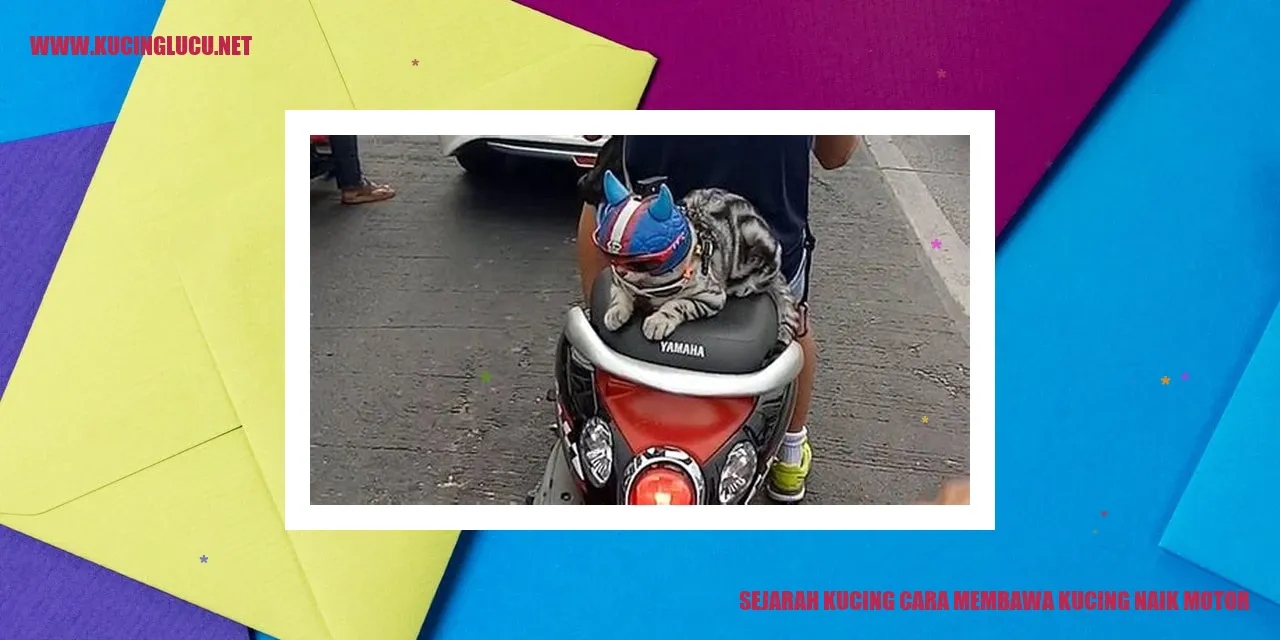 Gambar Kucing Membawa Kucing Naik Motor