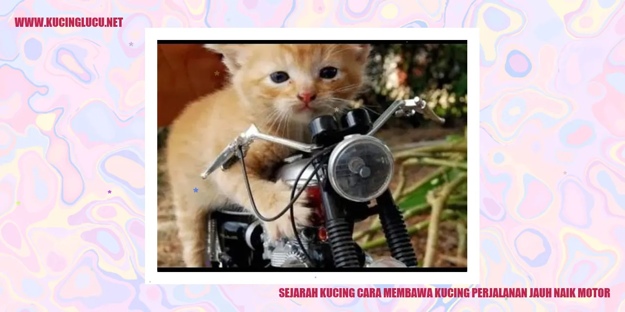 Gambar Kucing