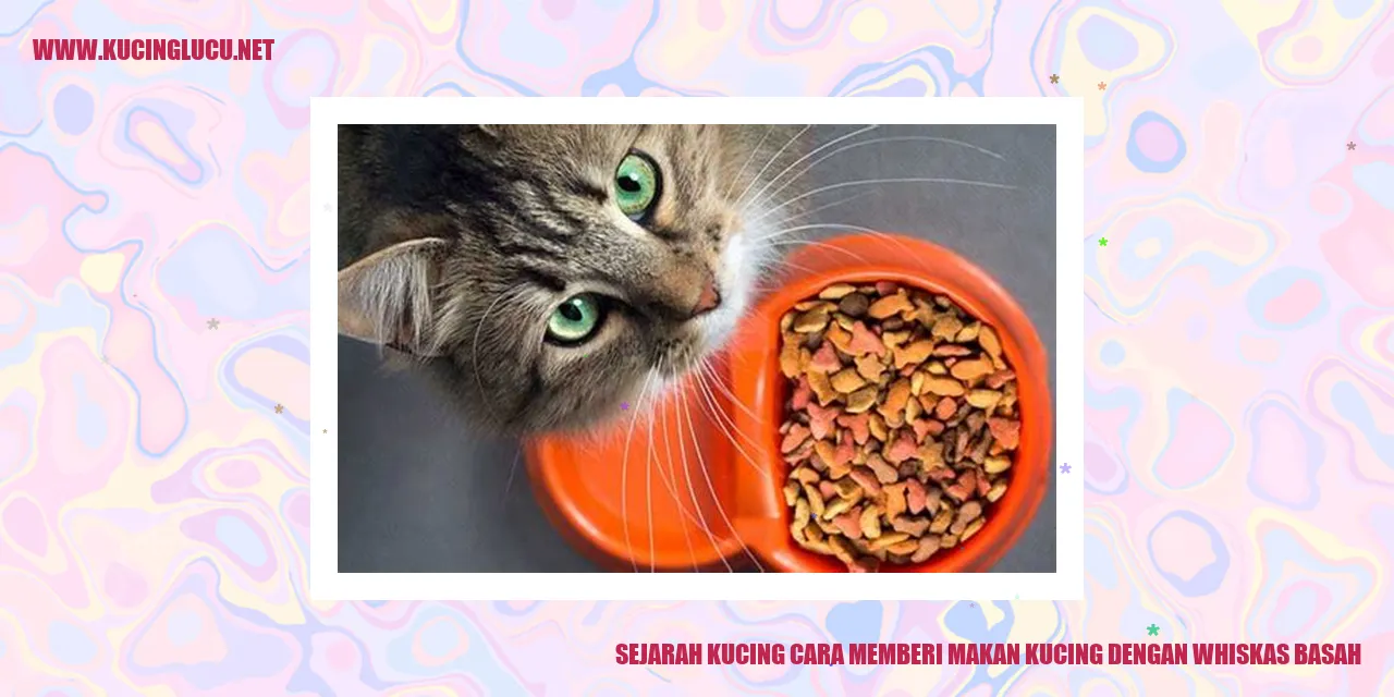 Gambar: Sejarah Kucing dan Cara Memberi Makan Kucing dengan Whiskas Basah