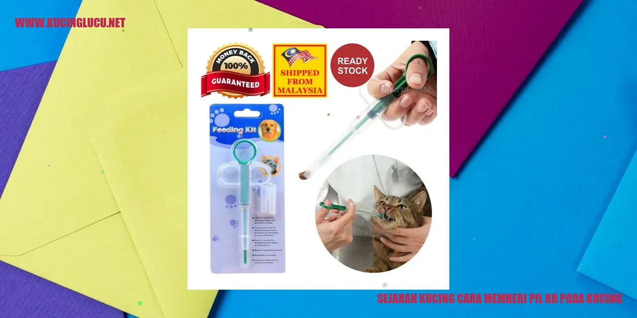 Gambar Sejarah Kucing cara memberi obat KB pada kucing