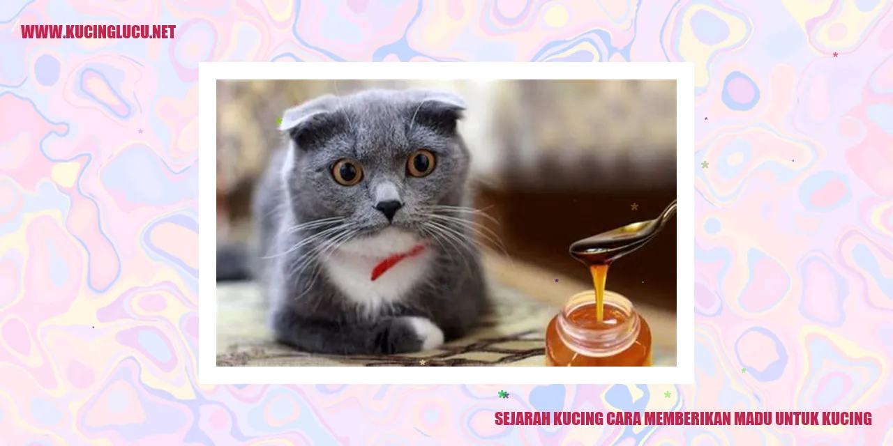 Gambar Kucing