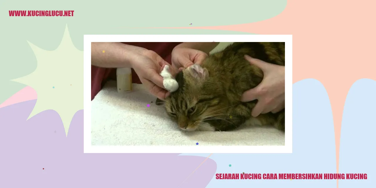 Sejarah Kucing dan Cara Merawat Hidung Kucing