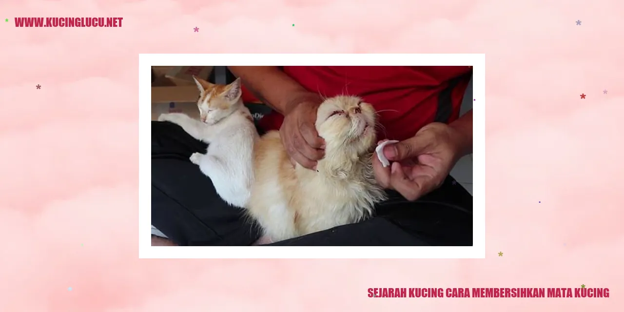 Kucing Sejarah