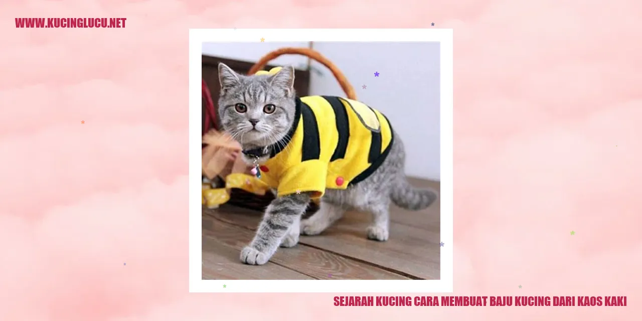 Gambar Sejarah Kucing dan Cara Membuat Baju Kucing dari Kaos Kaki
