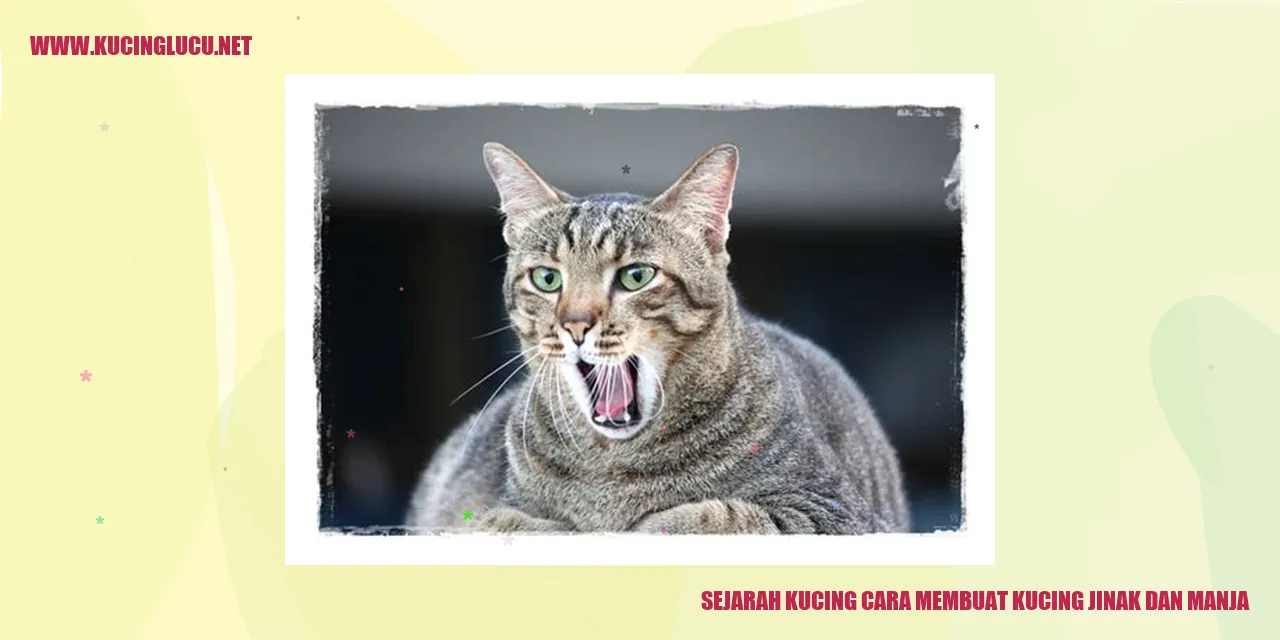 Sejarah Kucing dan Cara Membuat Kucing Jinak dan Manja
