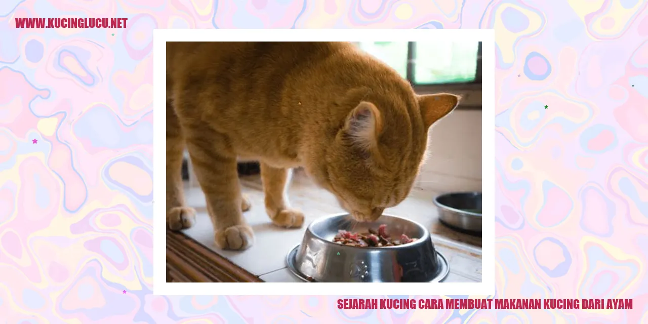 Gambar Kucing