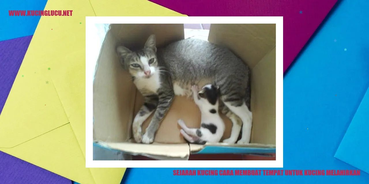 Gambar Kucing Melahirkan