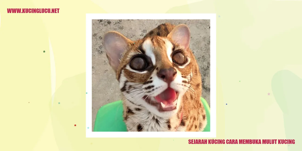 Gambar Kucing Membuka Mulut