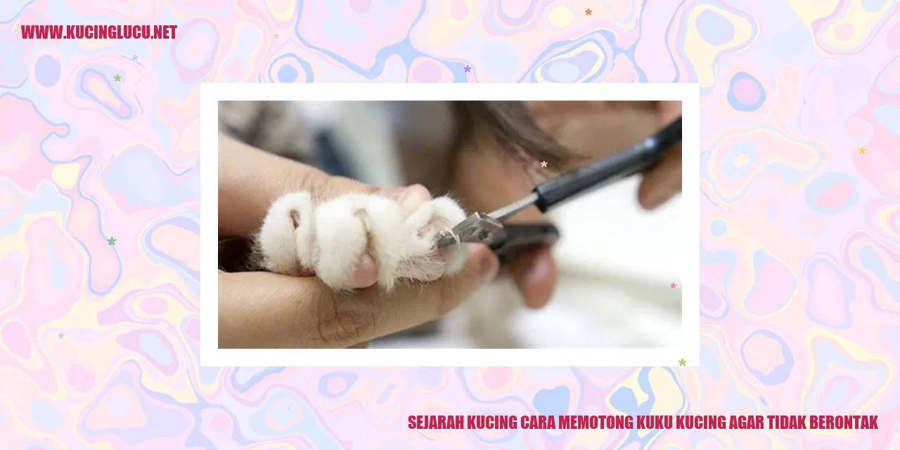 Gambar Kucing