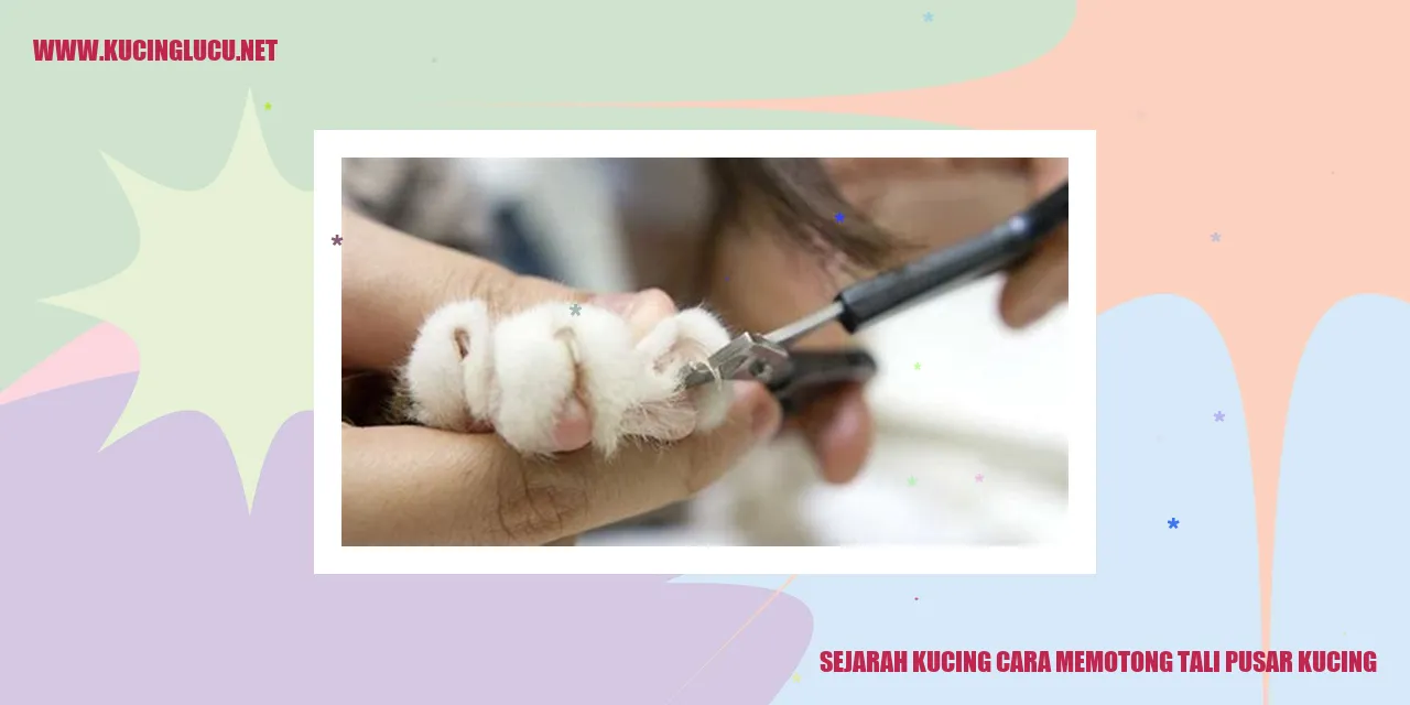 Kucing bayi dipotong tali pusar