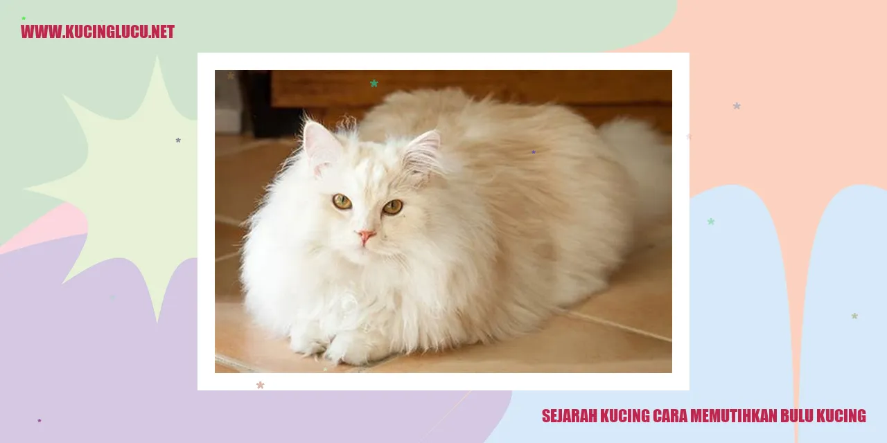 Gambar Kucing