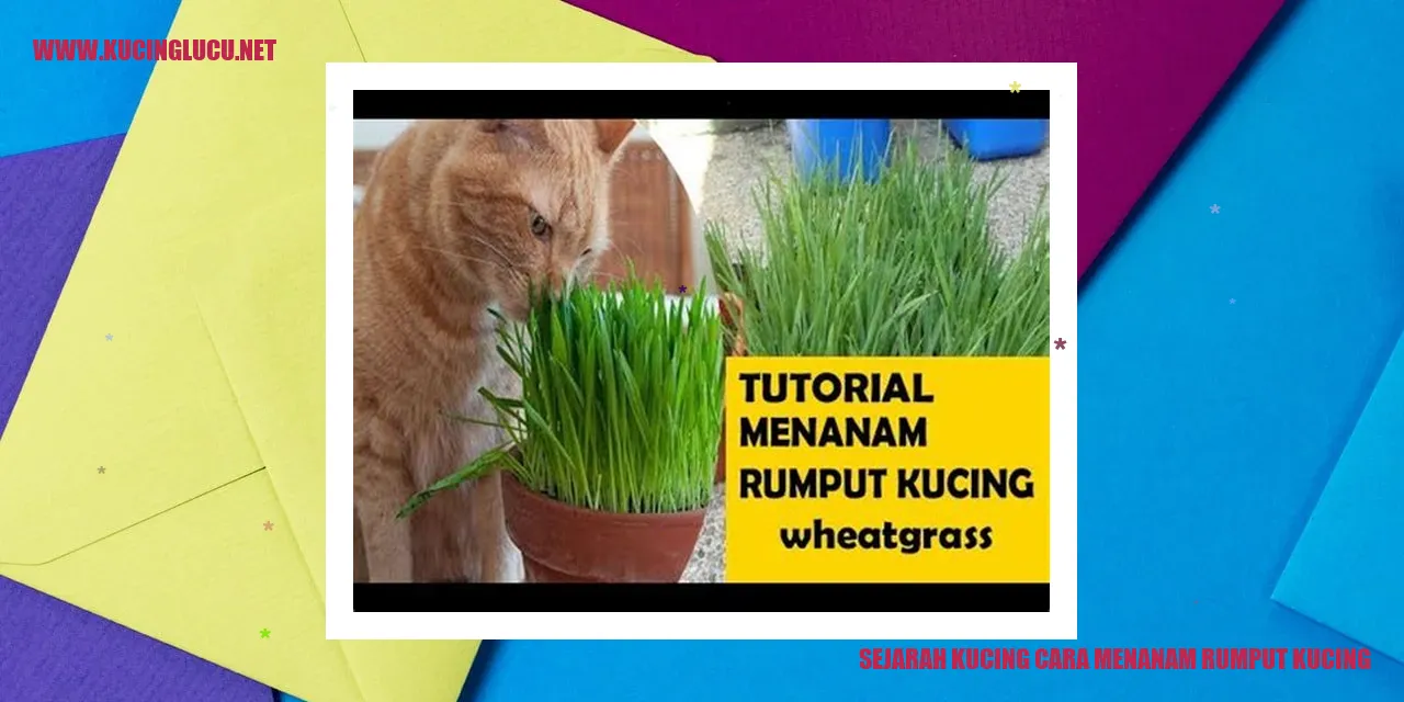 gambar sejarah kucing