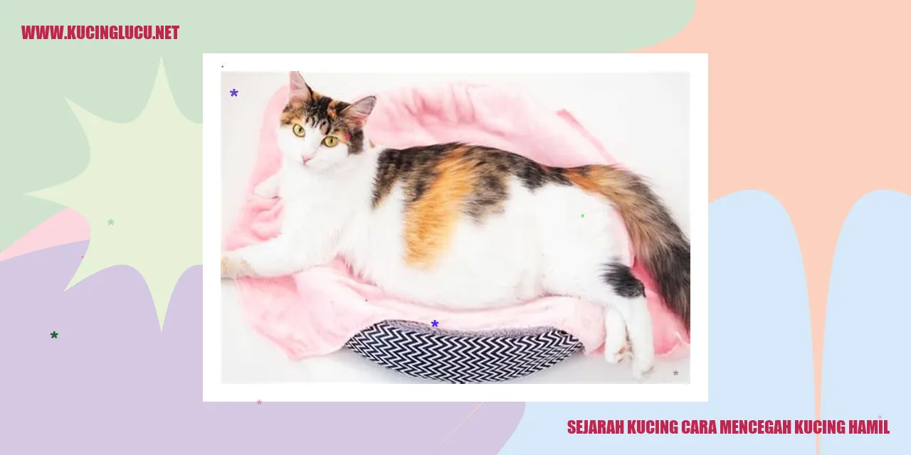 Sejarah Kucing
