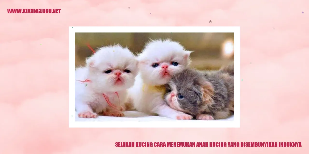 Anak kucing yang disembunyikan oleh induknya