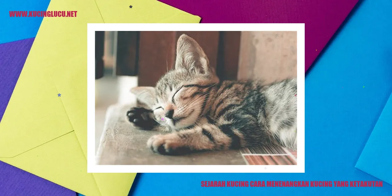 Gambar Kucing