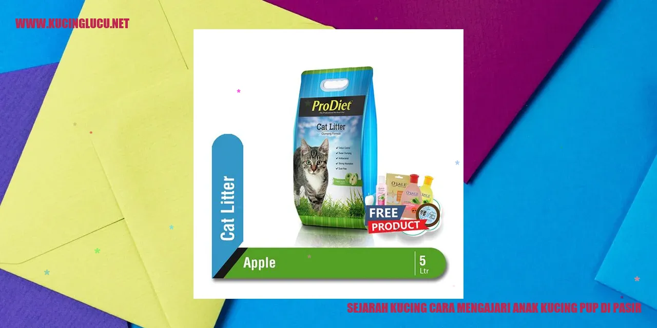 Kucing dan anak kucing di pasir