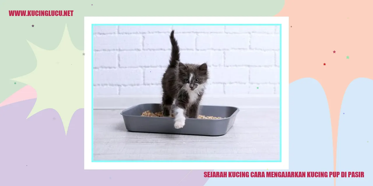 Potret Menggemaskan Kucing di Bak Pasir