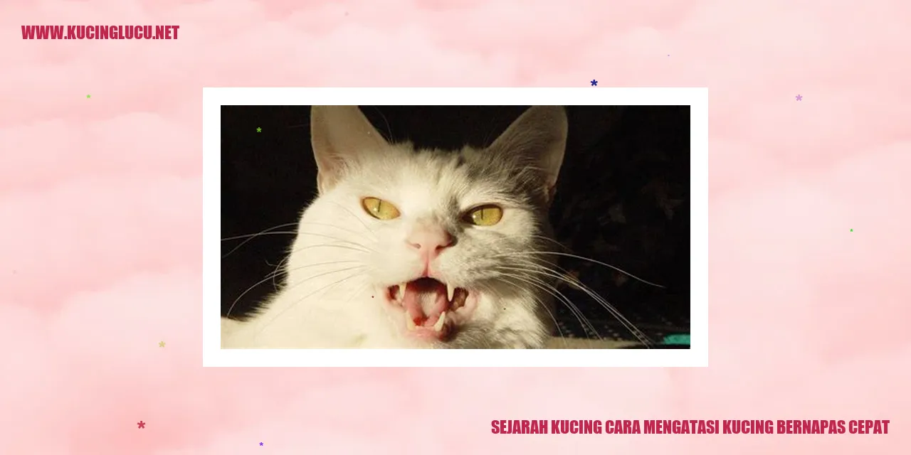 Gambar Kucing