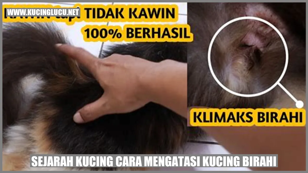 Sejarah Kucing