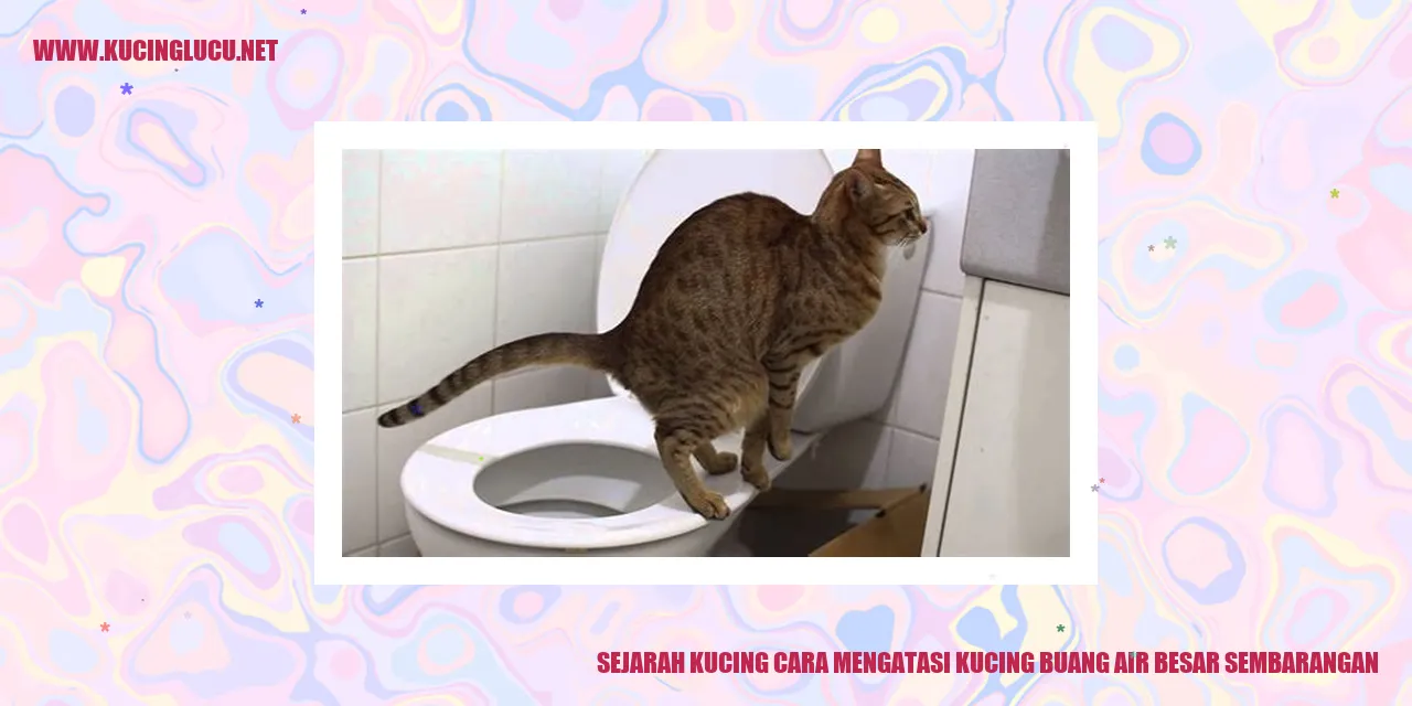 Gambar kucing di depan litter box