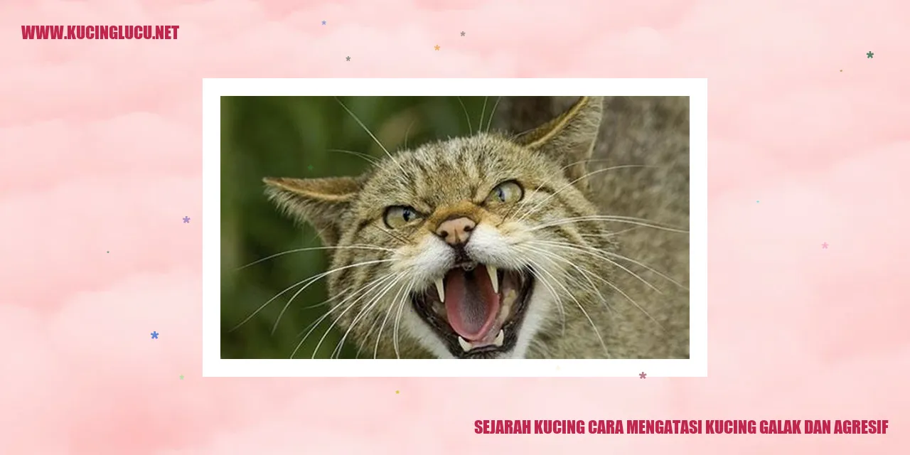 Sejarah Kucing