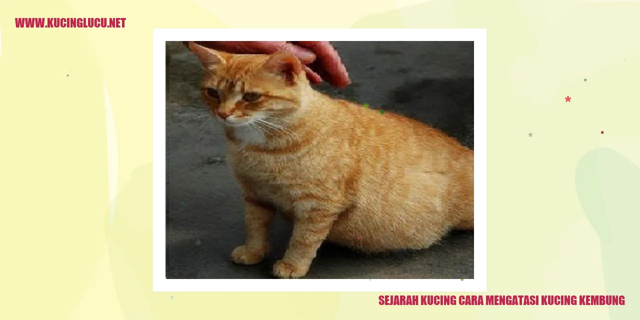 Ilustrasi tentang Riwayat Kucing dan Cara Menangani Kucing yang Merasa Kembung