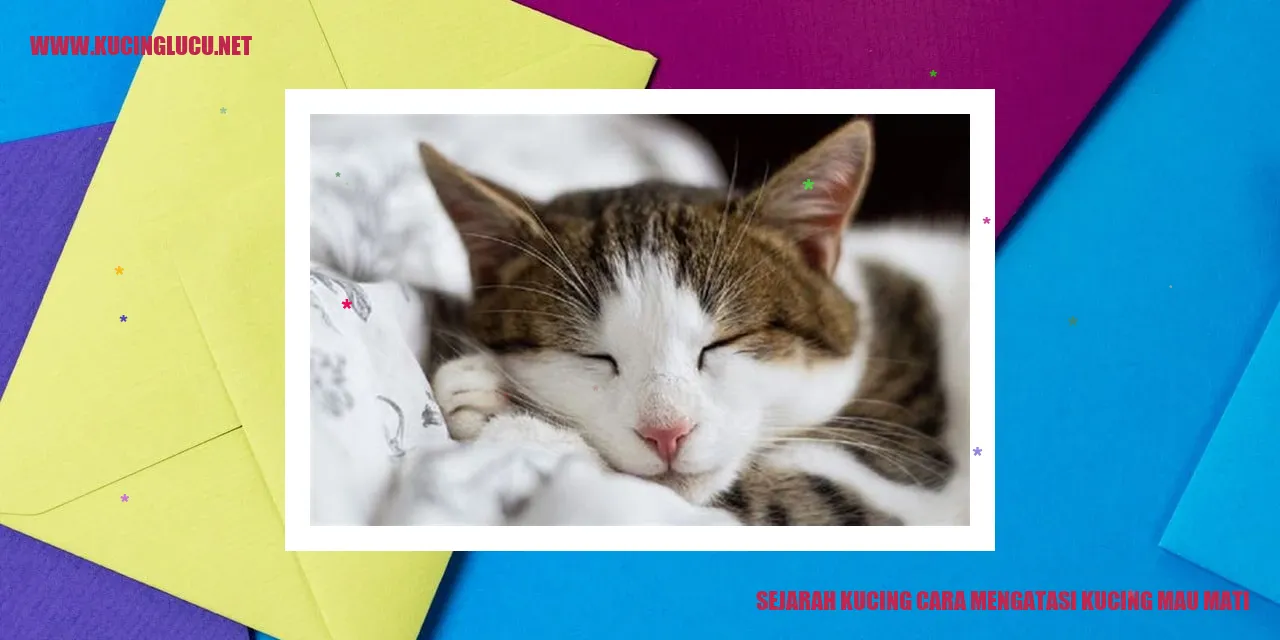 Sejarah Kucing dan Cara Mengatasi Kucing Mau Mati