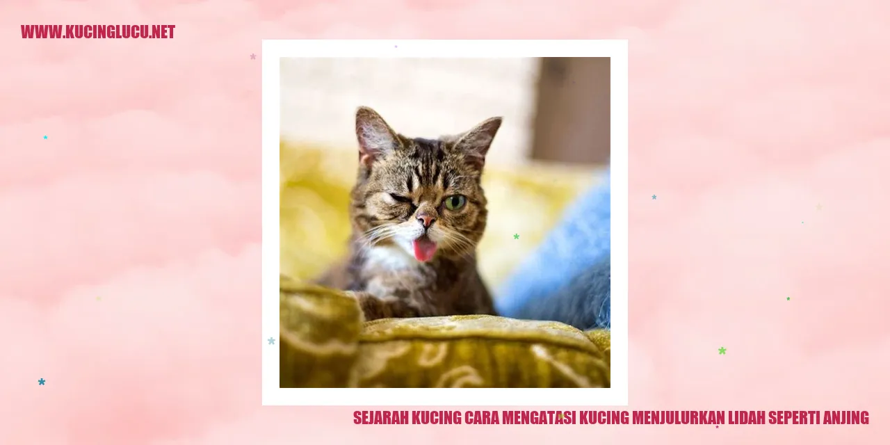 Sejarah Kucing
