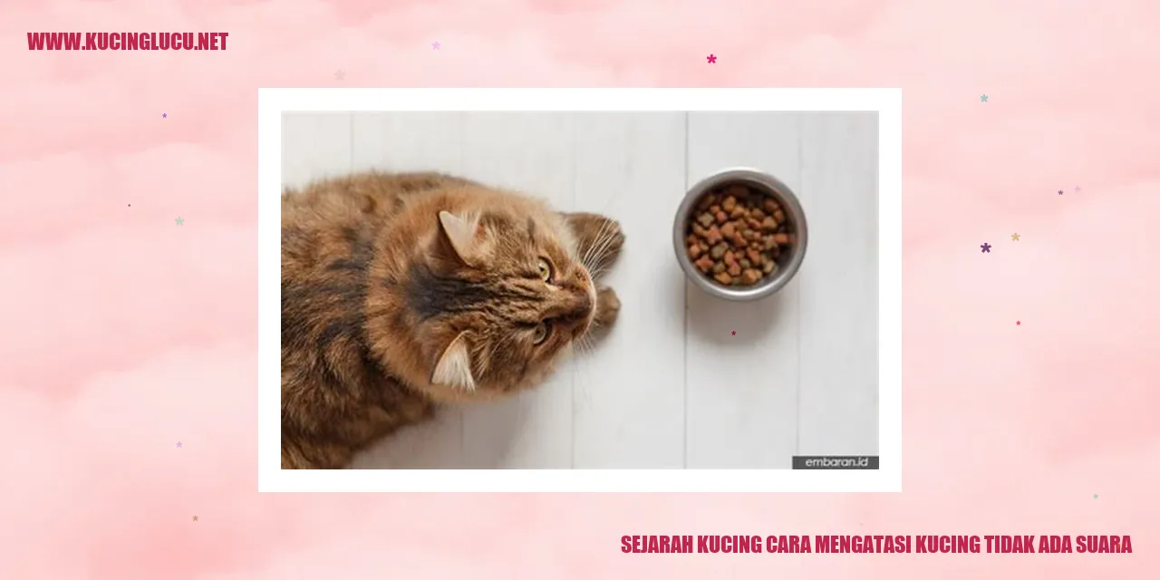 Gambar Kucing