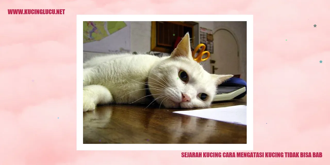 Gambar Kucing
