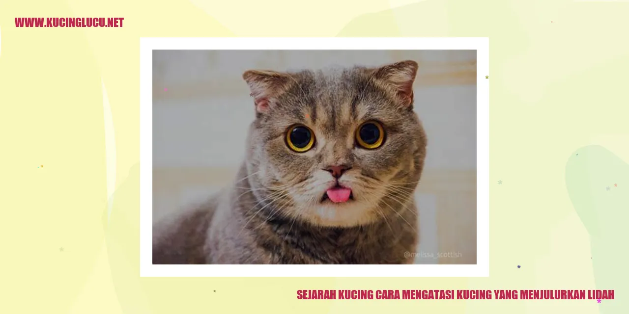 Ilustrasi kucing