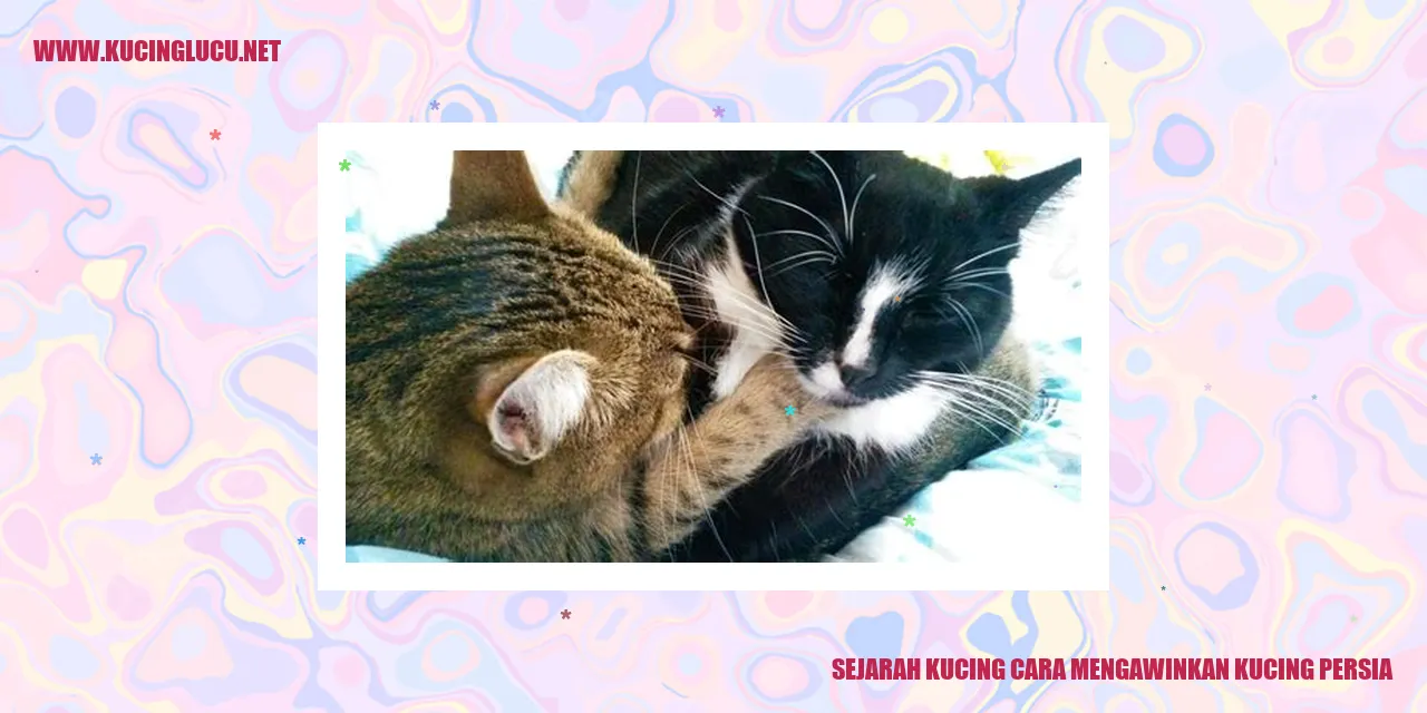 Kucing Persia
