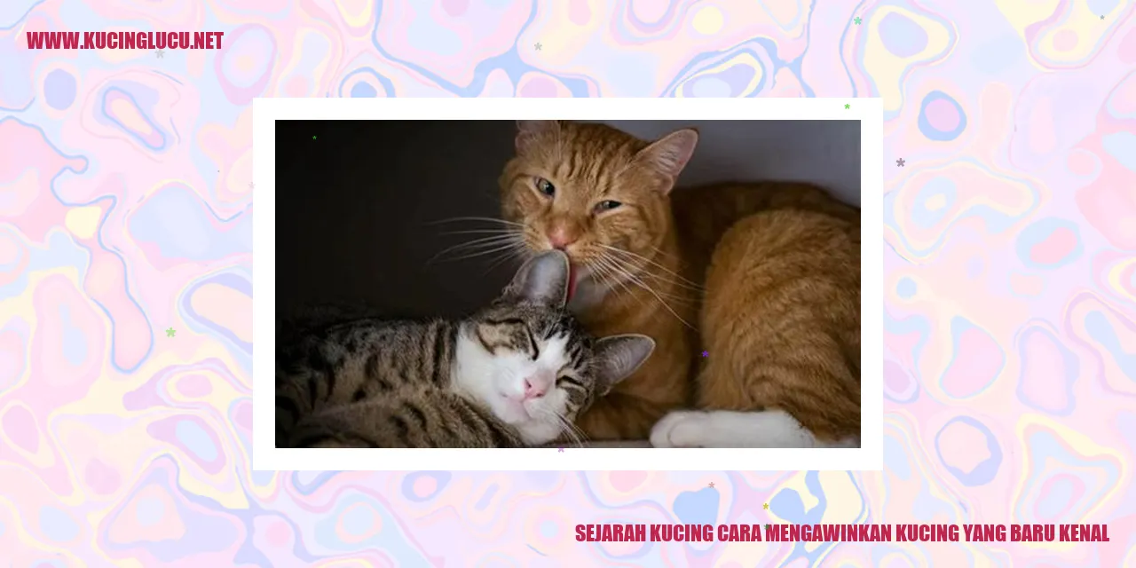 Gambar Kucing
