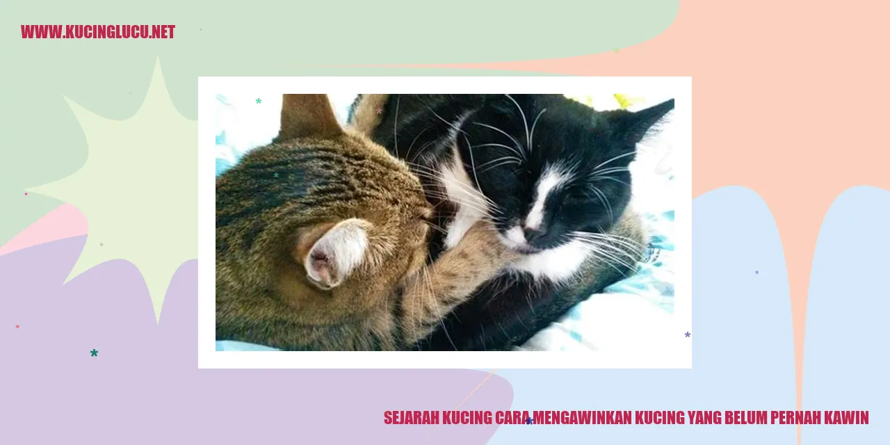 Menjodohkan Kucing