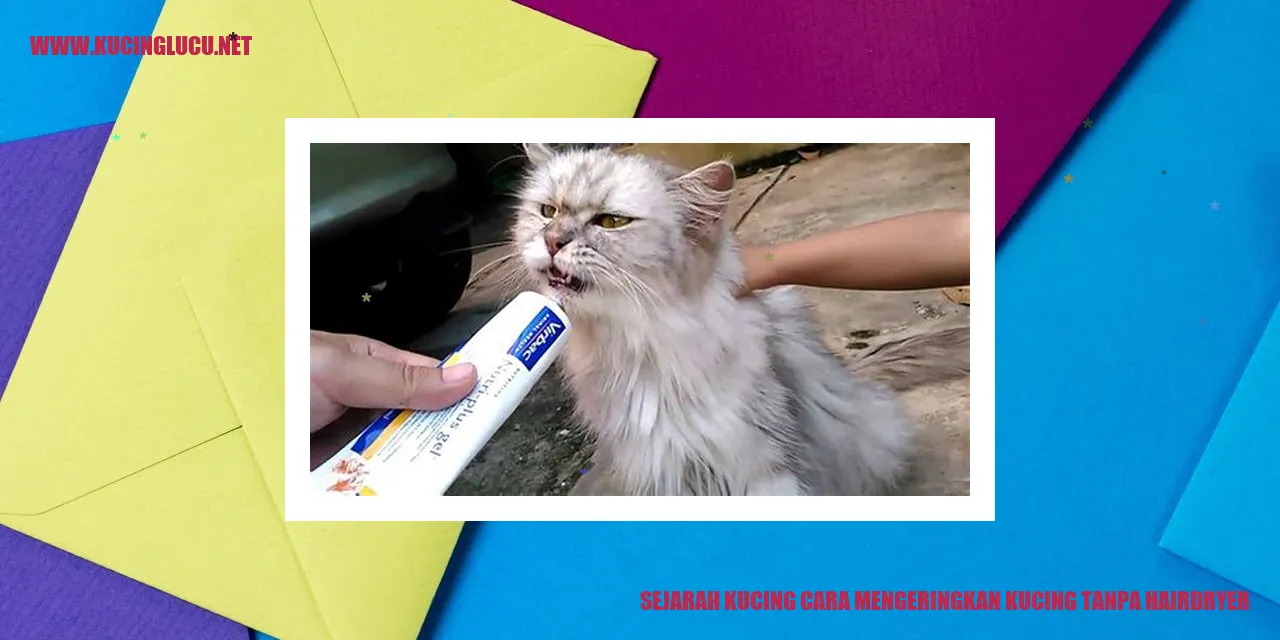 Gambar Kucing yang Mengering