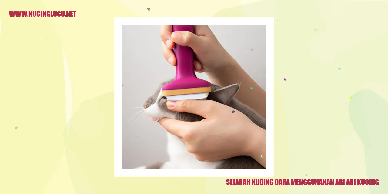 Ari-ari Kucing