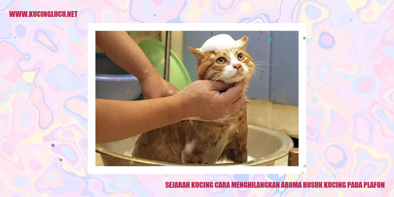 Sejarah Kucing