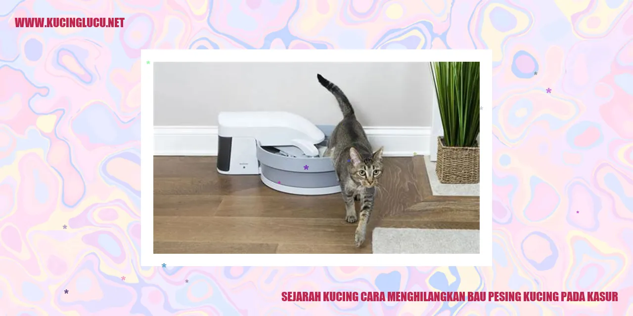 Kucing Menggemaskan