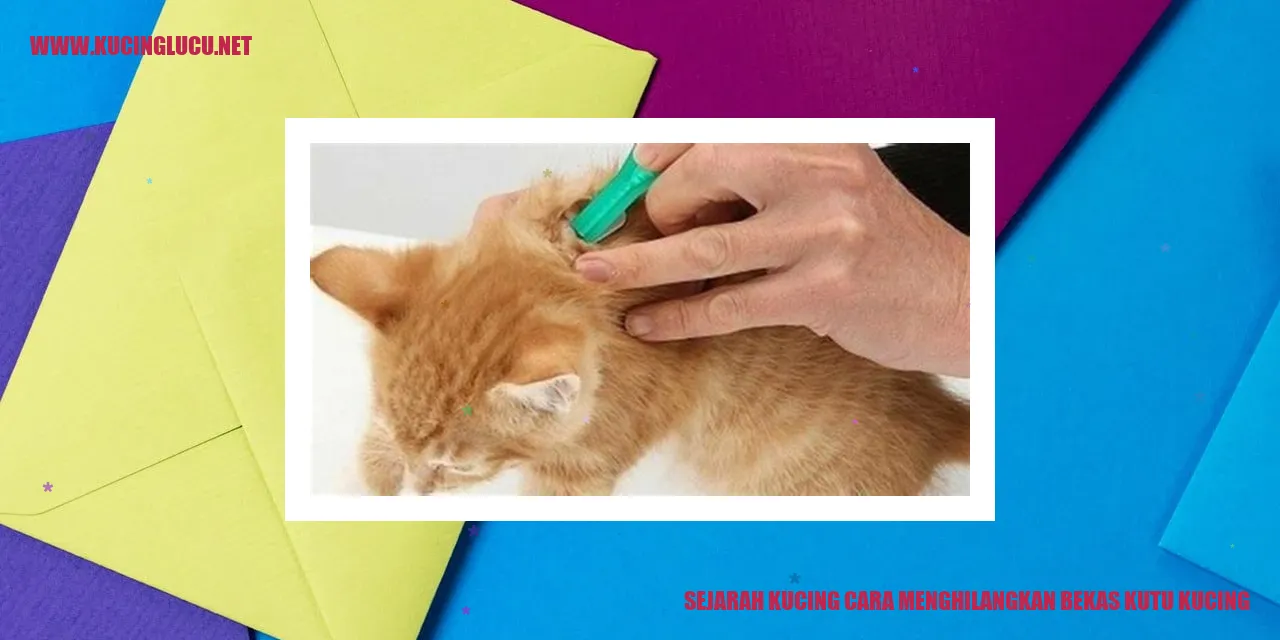 Gambar Sejarah Kucing dan Cara Menghilangkan Bekas Kutu
