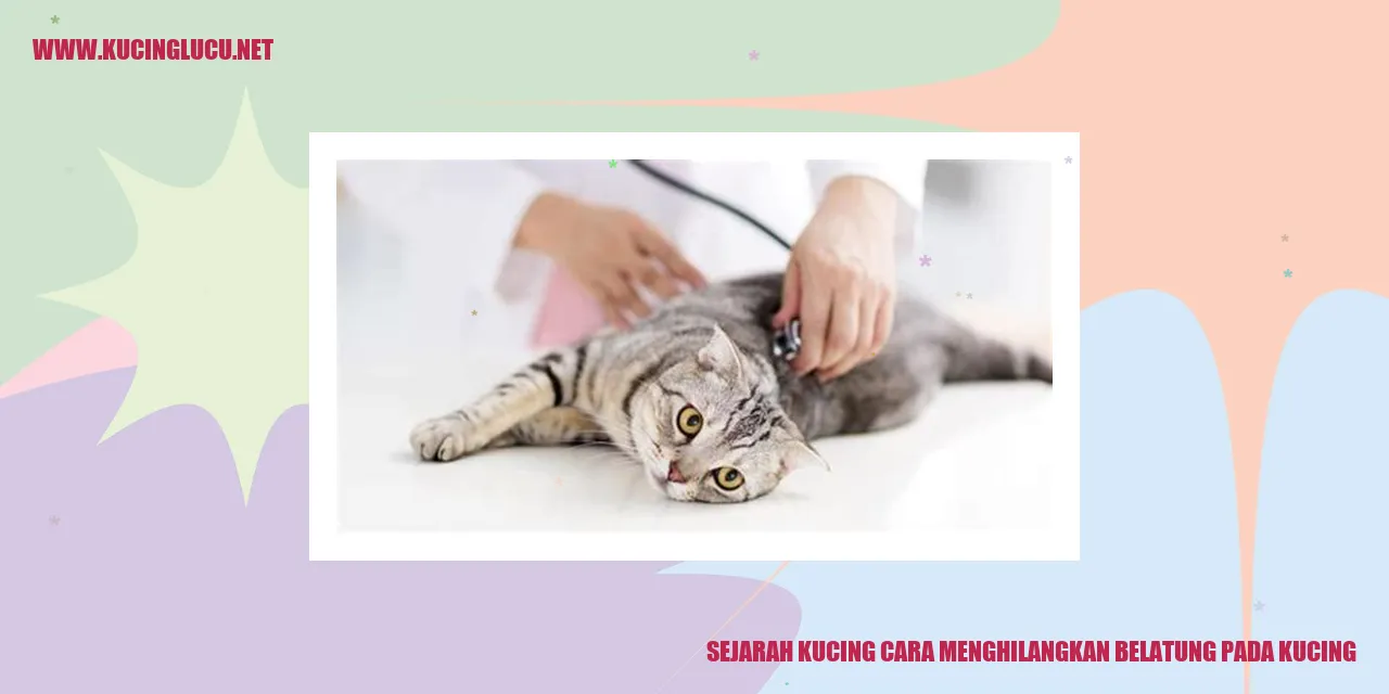 Gambar Kucing
