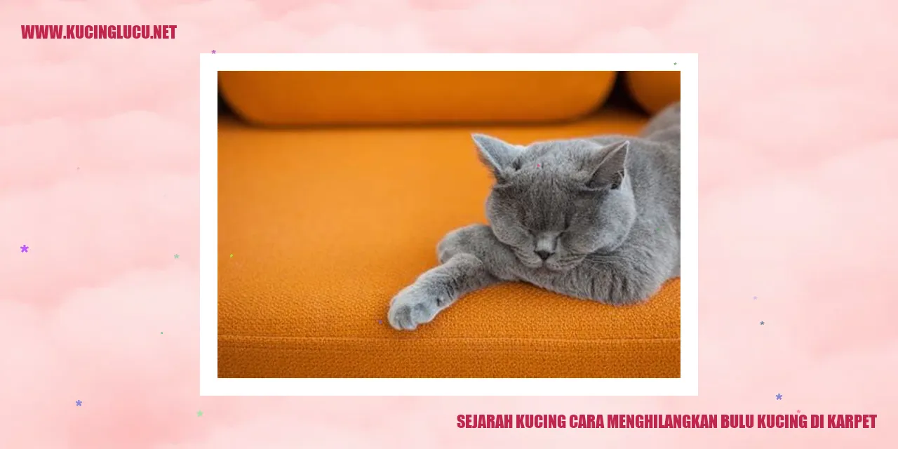 Bulu kucing di karpet
