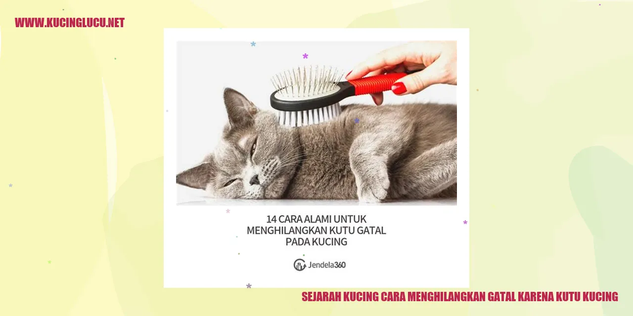 gambar kucing