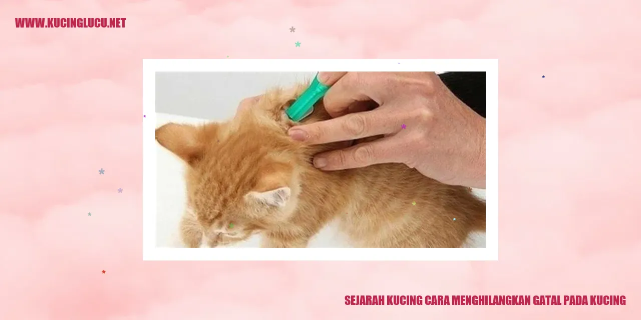 Sejarah Kucing cara menghilangkan gatal pada kucing