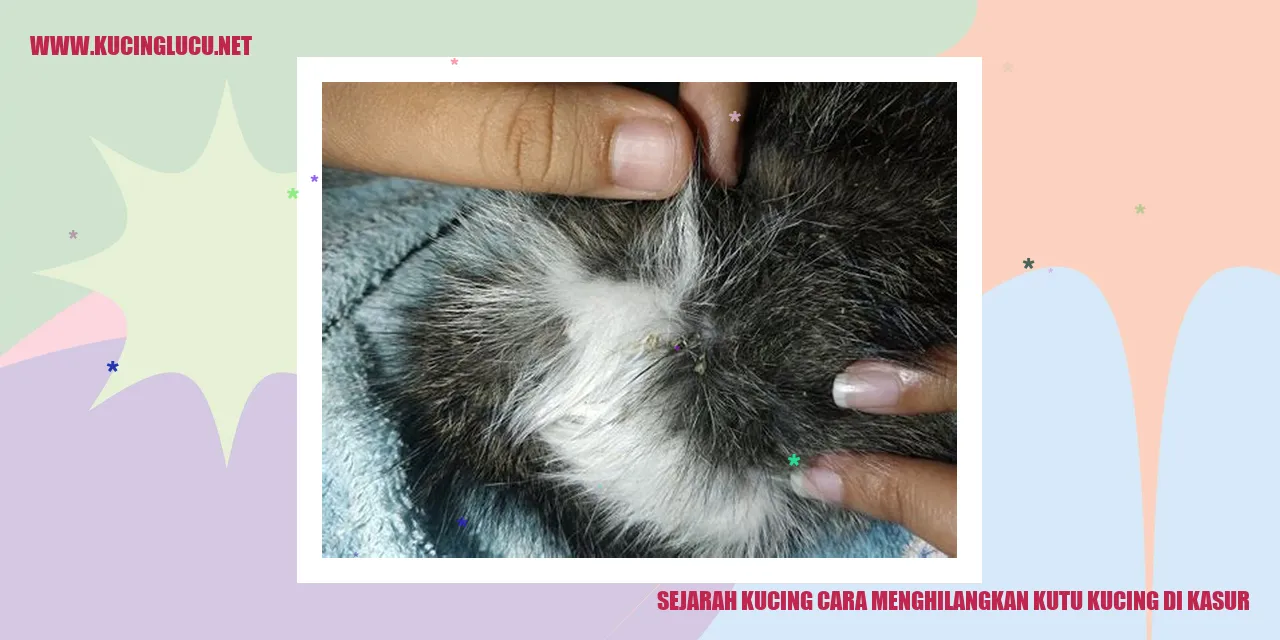 gambar kucing