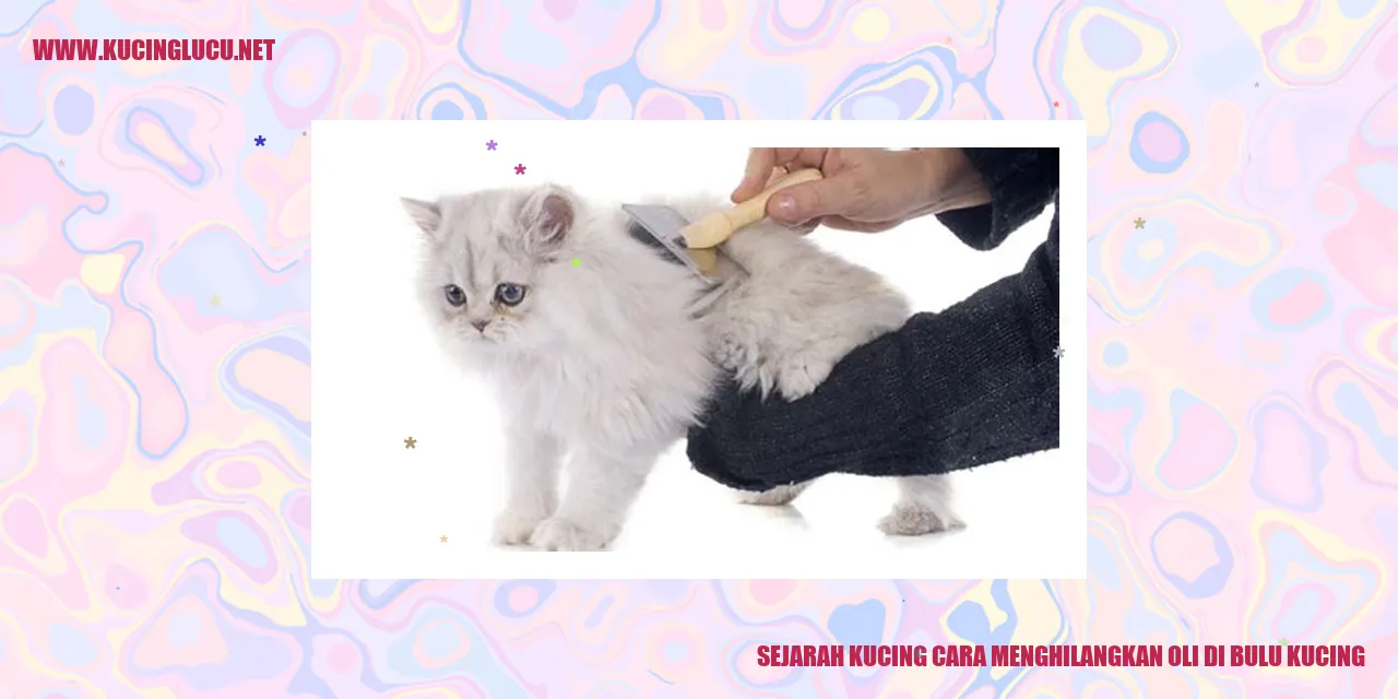 Kucing yang Haus Petualangan