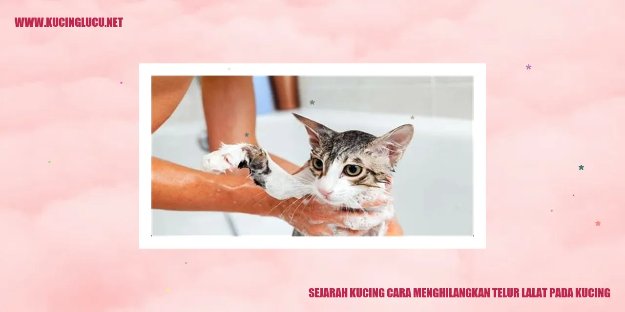 Kucing