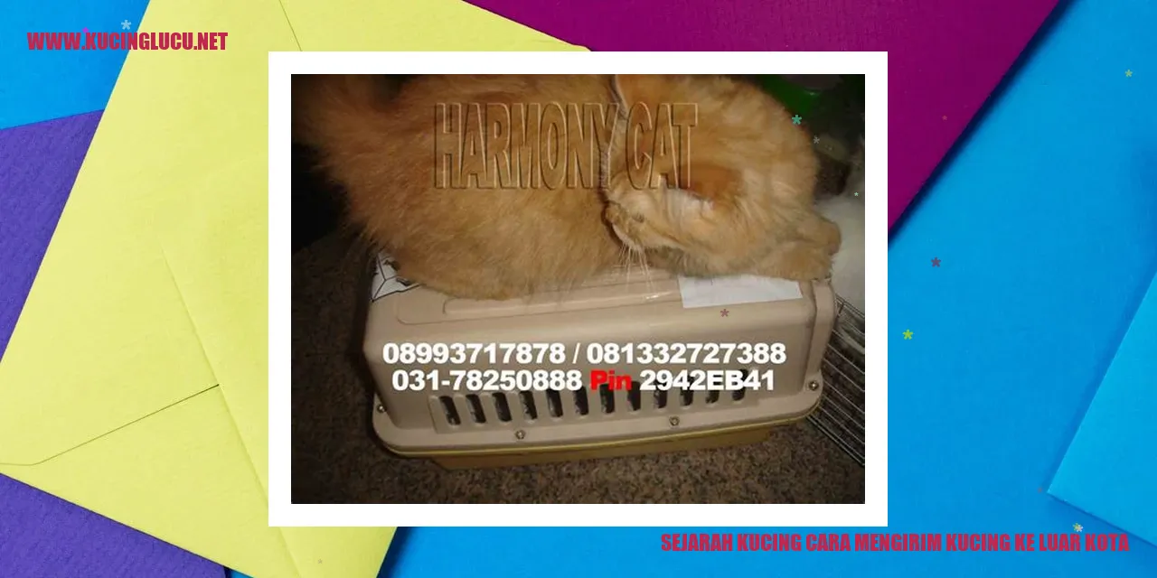 Kucing Mengirim ke Luar Kota
