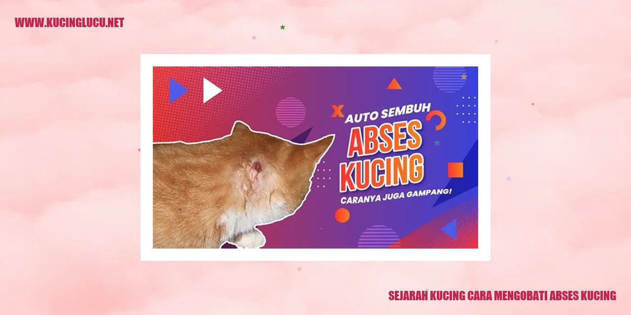 Sejarah Kucing dan Cara Mengatasi Abses pada Kucing