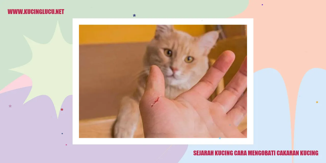 Sejarah Kucing dan Trik Mengobati Luka dari Cakaran Kucing