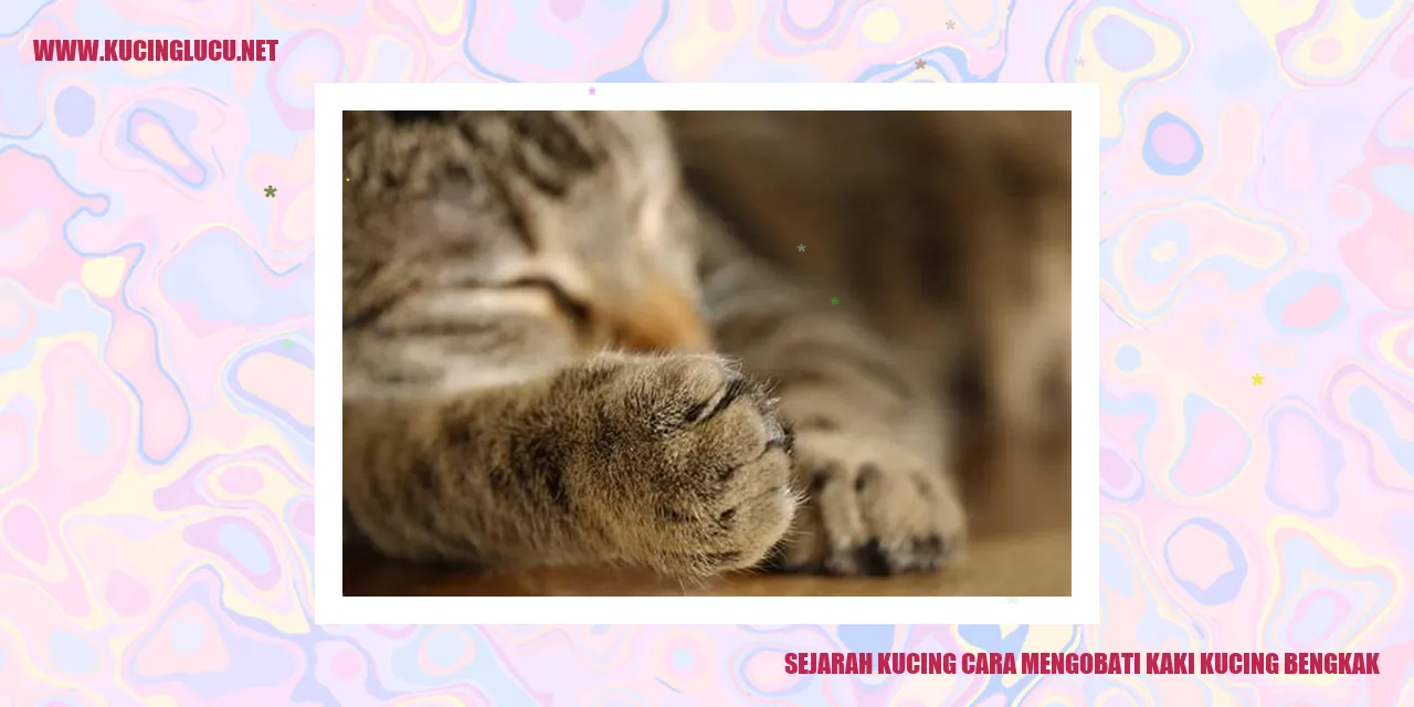 Sejarah Kucing cara mengobati kaki kucing bengkak